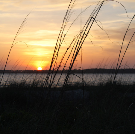 St. Helena Sound | Edisto Beach | 1000_1909.jpg